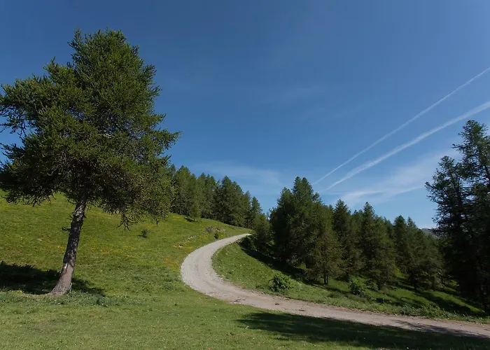 Les Hauts Des Auches